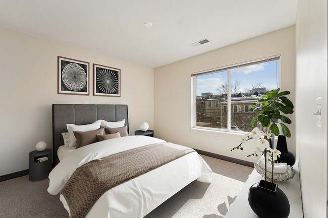 Photo - Anthology Apartments