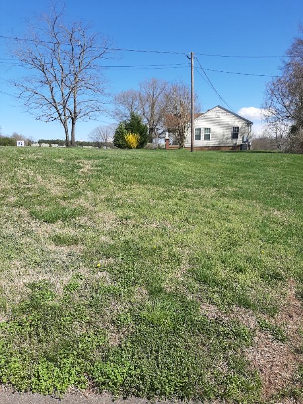 Building Photo - 885 Rural Hall-Germanton Rd