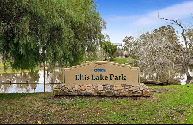 Photo - 1591 Ellis St Apartment