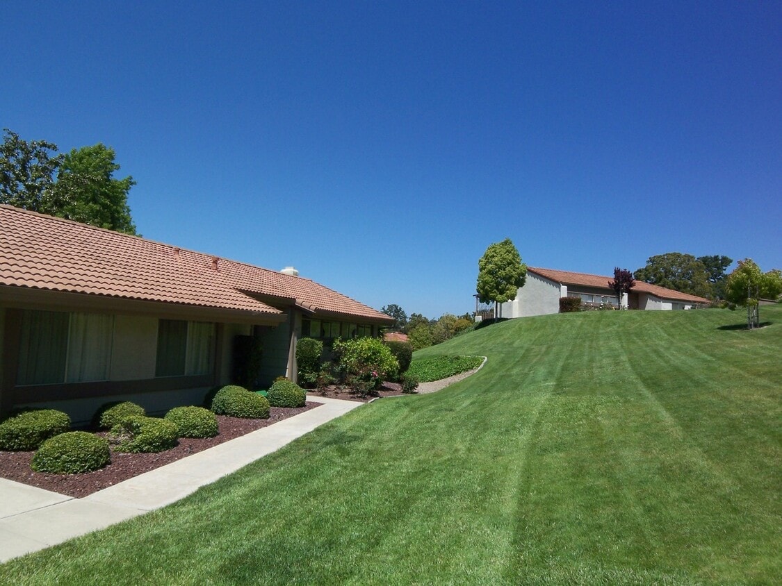 Primary Photo - Charming Single Level 2br/2Ba Condo In Oak...