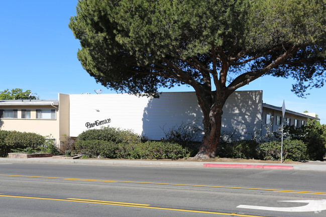 Building Photo - Pine Terrace Apartments - PTerrace