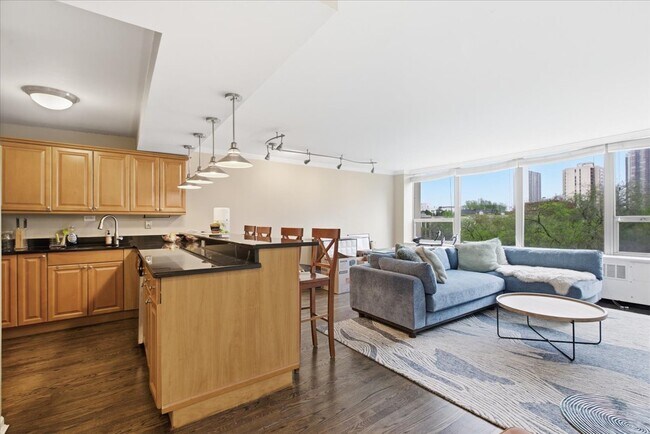 Foto del edificio - 1360 N Sandburg Terrace