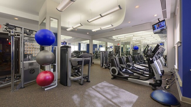 Building Photo - The Esquire on Fifth