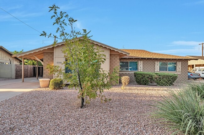 Foto del edificio - 3 BEDROOMS 2 BATHS! GRASS YARD!