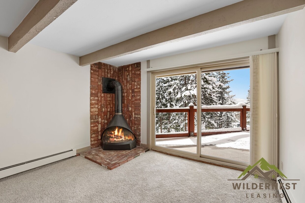 Primary Photo - Updated Modern 2 Bedroom Unit w/ Fireplace