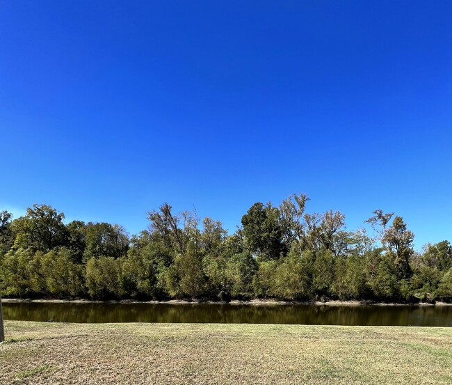 Building Photo - 1050 Shadow Bluff Dr