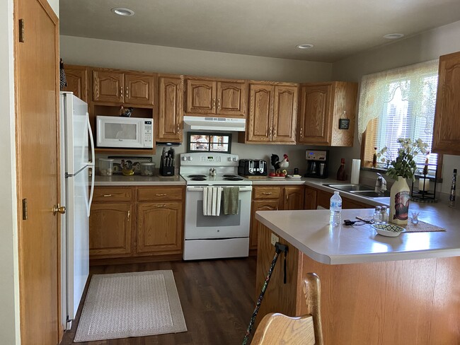 Building Photo - 1431 White Birch Trl