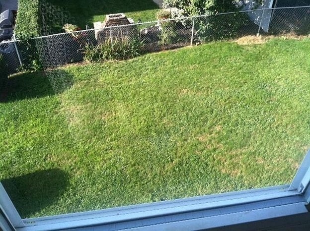 Building Photo - 61 Adamson St