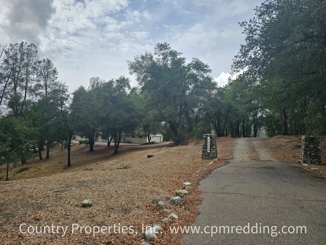 Building Photo - Amazing Short-Term Housing Opportunity in ...