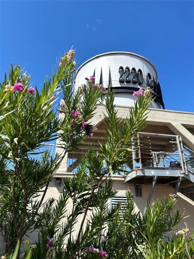 Foto del edificio - 2220 Canton St