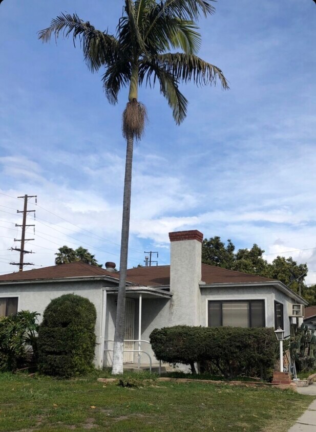 Primary Photo - 10216 McNerney Ave