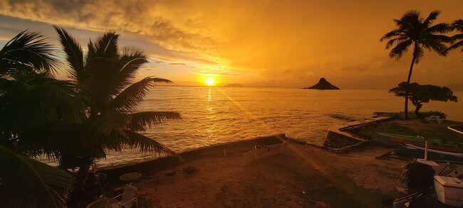 Beautiful sunsets outside your window every morning - 49-549 Kamehameha Hwy