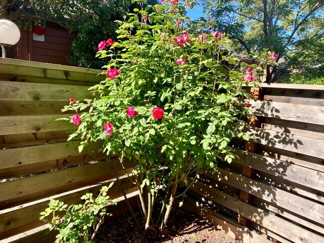 Building Photo - 16 Kingston Ln