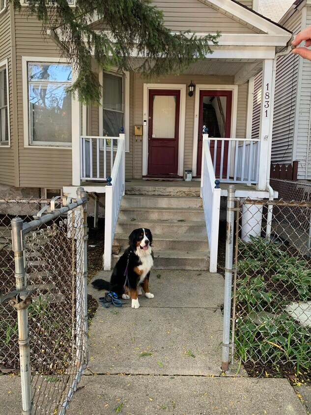 Pet friendly - 1831 W Nelson St