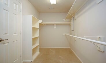 Building Photo - 42 Windswept Oaks Pl Building Photo - 42 Windswept Oaks Pl