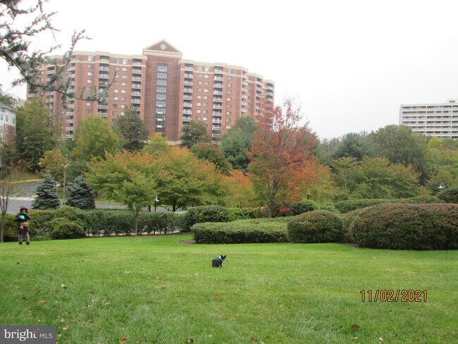 Building Photo - 203 Yoakum Pkwy
