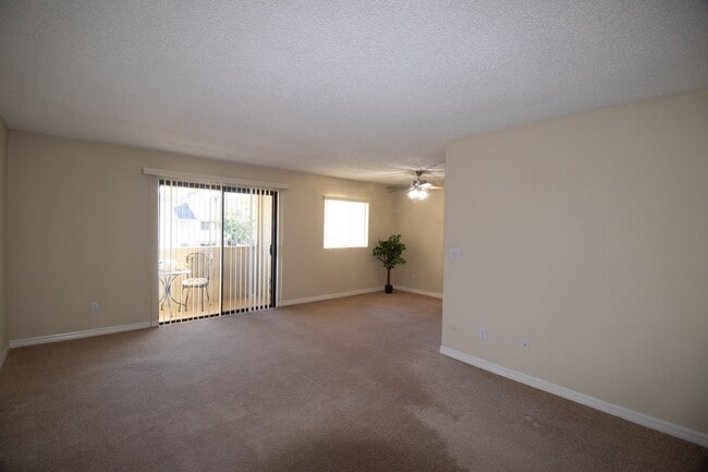 Interior Photo - Gold Coast Apartments