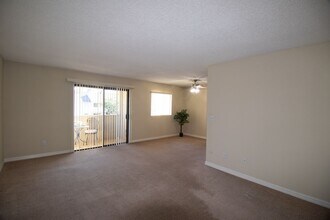 Interior Photo - Gold Coast Apartments