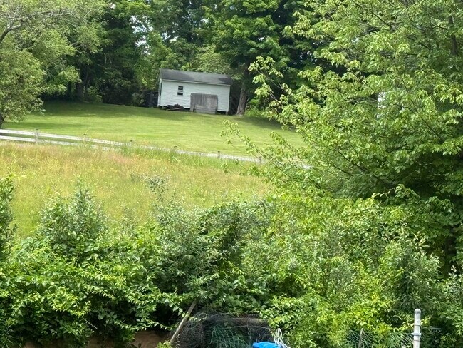 Foto del edificio - 5 Walnut Hill Rd