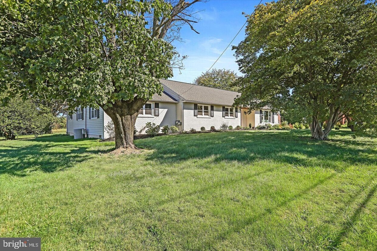 Primary Photo - 291 Elephant Rd
