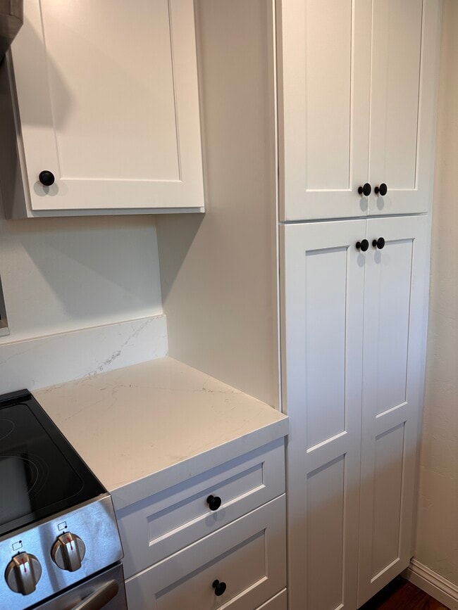 Newly Remodeled Cabinets and Countertop - 961 La Bonita Dr
