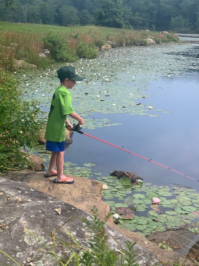 Photo - 336 Woodville Rd House