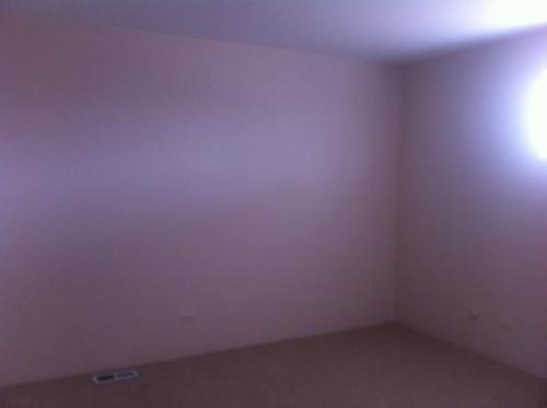 Building Photo - 921 Shattuck Ln