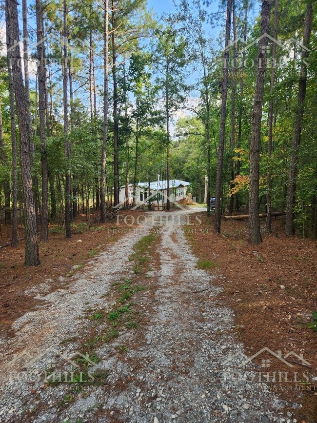 Building Photo - 3-Bedroom Home in a Peaceful Country Setting