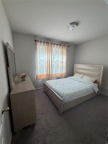 Foto del edificio - 3120 Josefina Ln