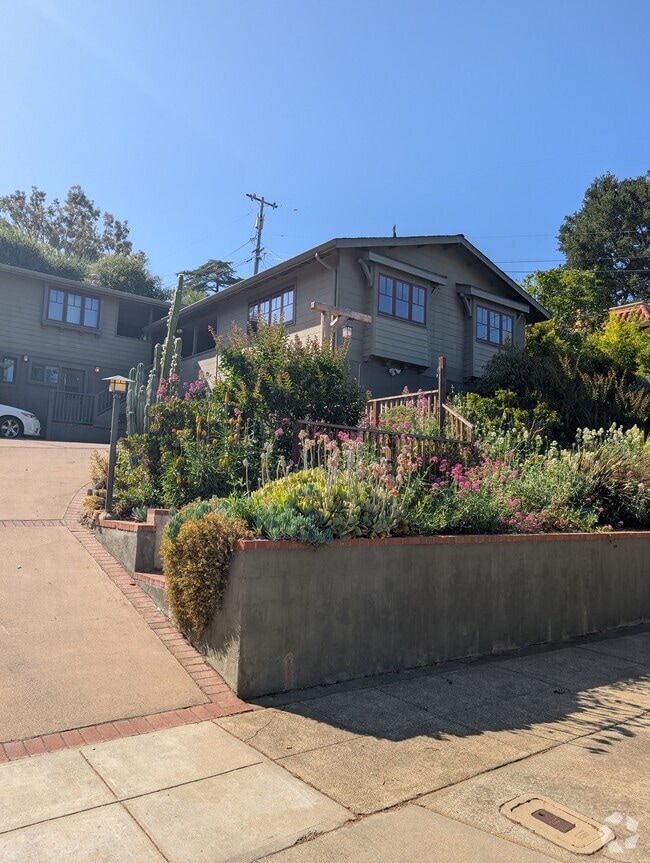 Building Photo - 529 San Benito Ave