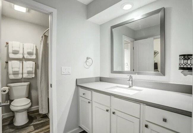 Interior Photo - The North Shore Apartments