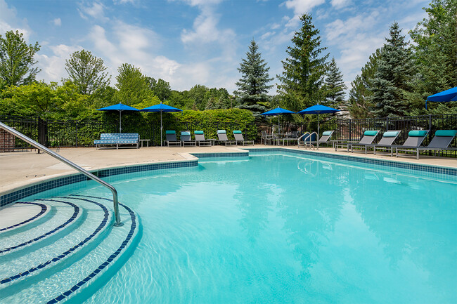 Sparkling Swimming Pool - The Pointe at Canton