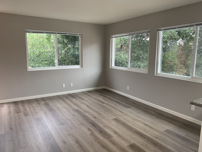 Natural Lighting - 1713 Lincoln Ave