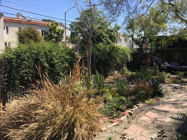 Front garden - 5060 West 12th Street