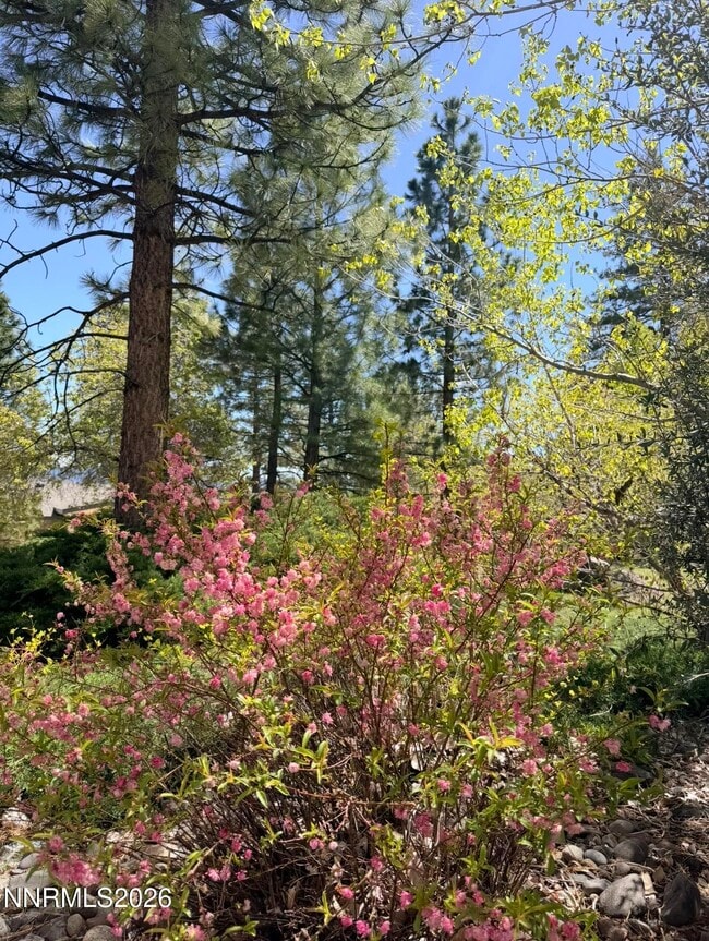 Foto del edificio - 16770 Mt Rose Hwy