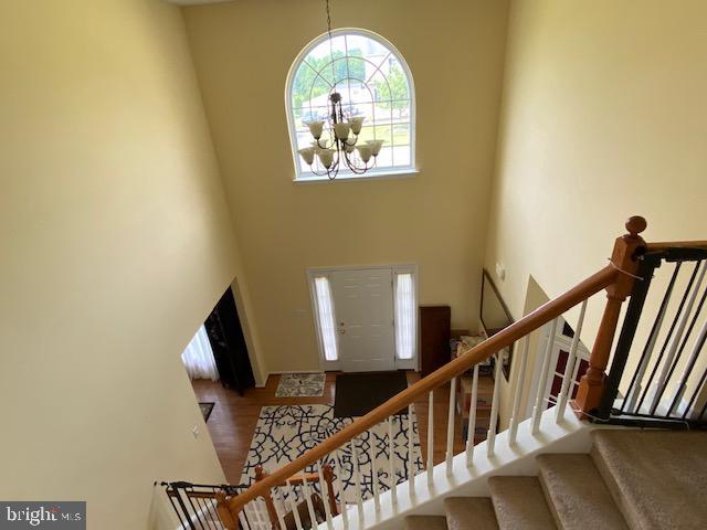 Building Photo - 37 Chanticleer Cir