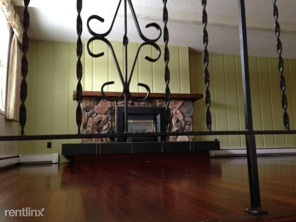Building Photo - 4 br, 2 bath House - 221 Fireoved Dr