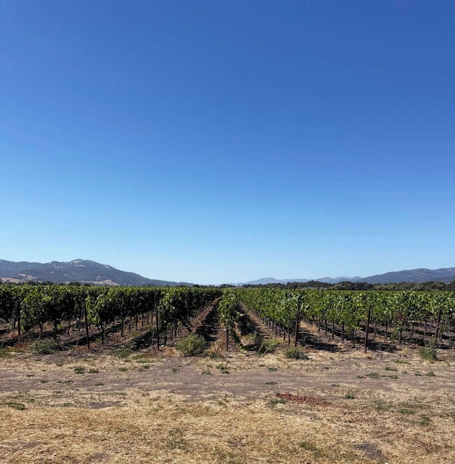 Foto del edificio - Spacious Two-Story Ranch Home Near Sonoma