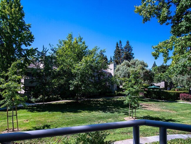 Patio View - 1805 Braddock Ct