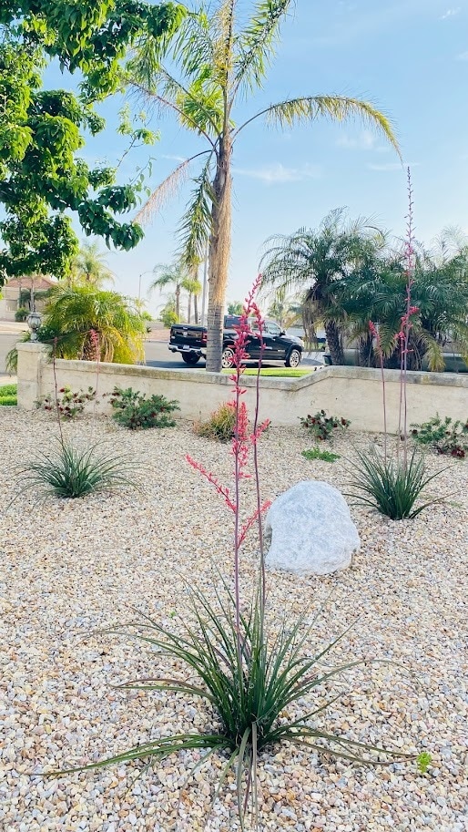 Front Yard - 14066 Glendale Ct