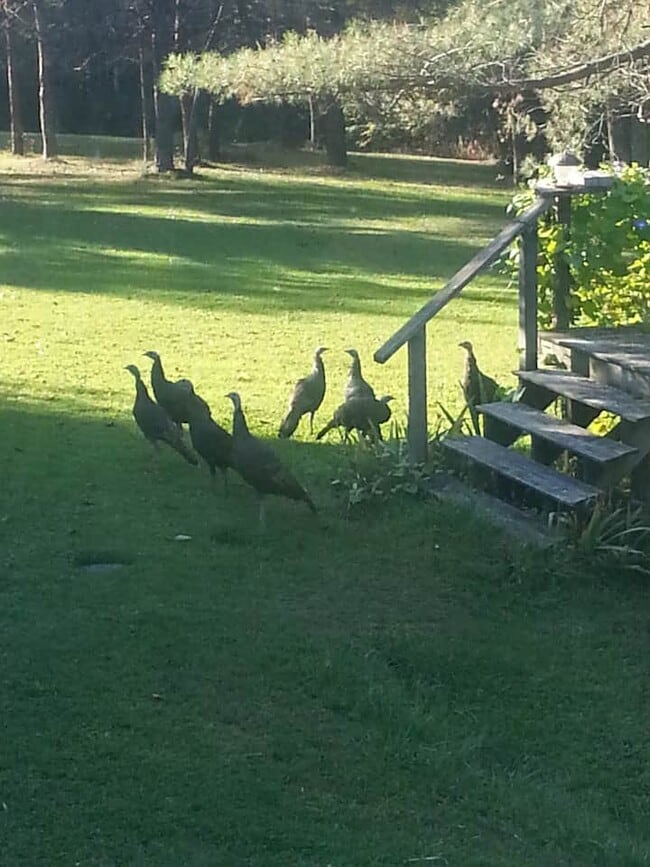 Building Photo - 1469 Oak Hill Rd