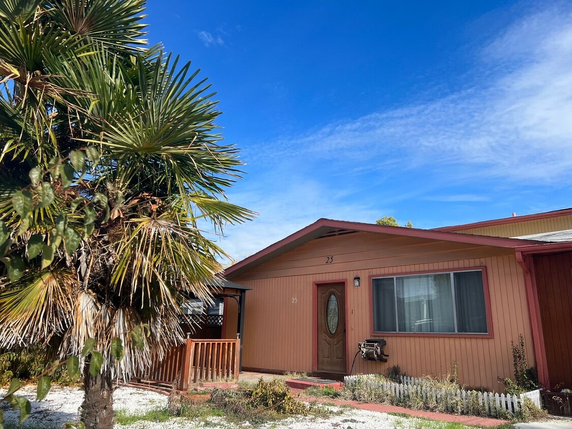 Primary Photo - Two bedroom apartment | Available Now
