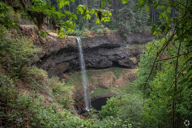The South Falls cascades in Silver Falls State Park near Silverton, Oregon.