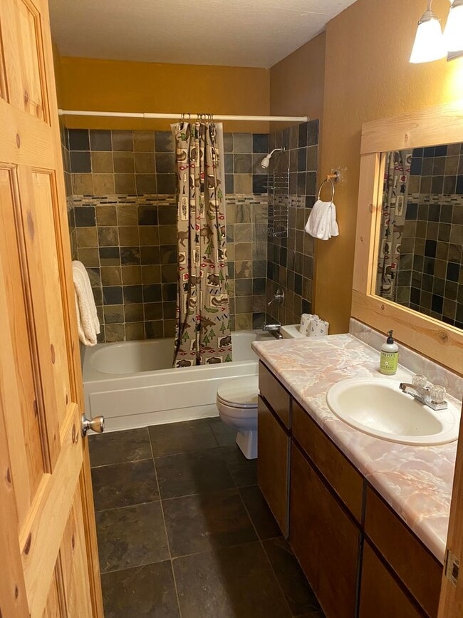 Building Photo - Tamarack Mountain Home