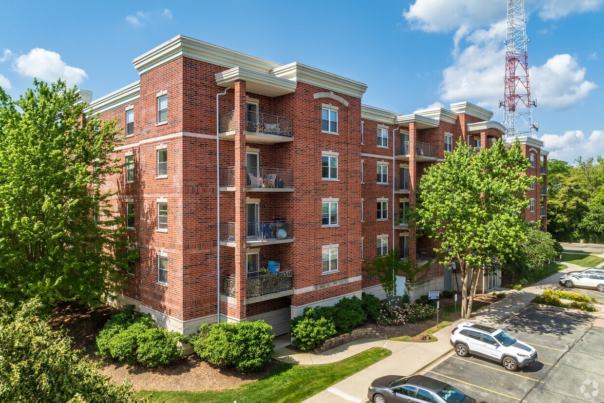 Primary Photo - Timber Court