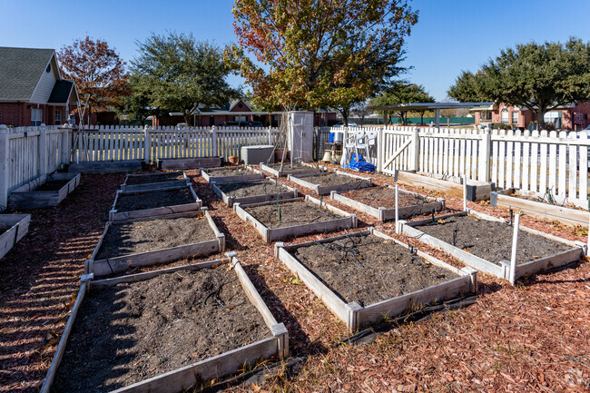 Community Garden - Ashford Wellington