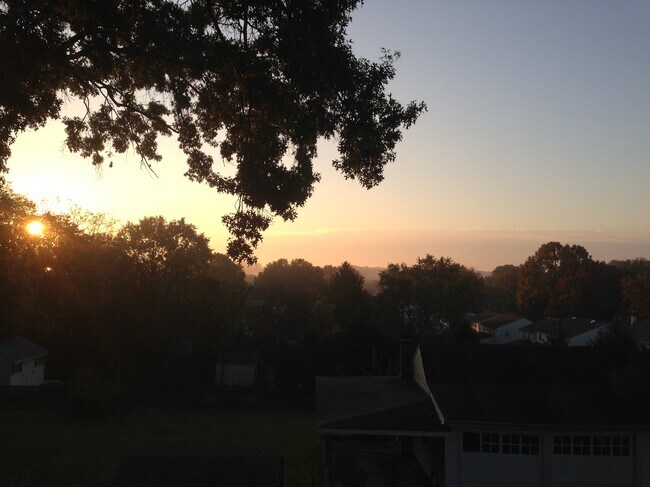 Building Photo - 538 Green St