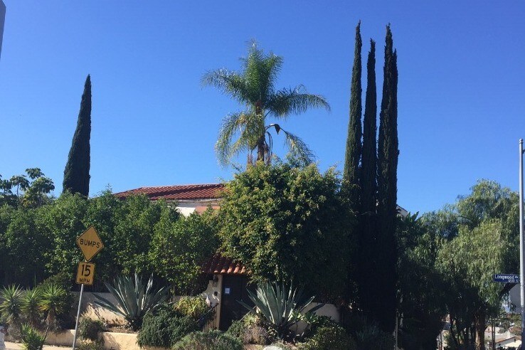La casa principal - 1201 S Longwood Ave