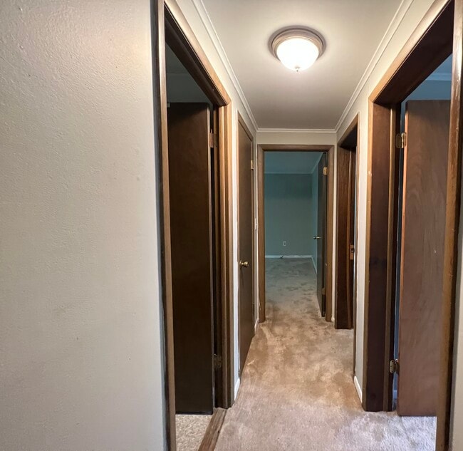 Photo - 1909 Storrs Rd House