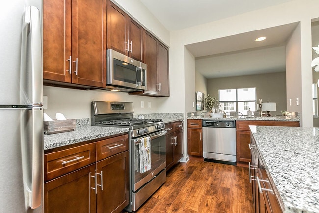 Snapshot of City View Condos For Rent With Gourmet Kitchen And Gas Stove